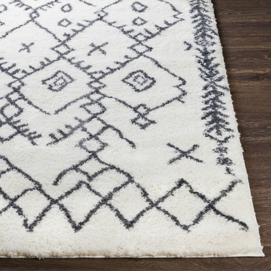 Surya Aliyah Shag Cream Rug 5'3" X 7'3"