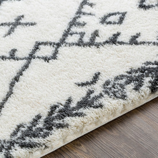 Surya Aliyah Shag Cream Rug 5'3" X 7'3"