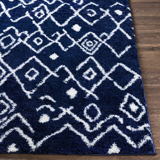 Surya Aliyah Shag Dark Blue Rug 2' X 3'