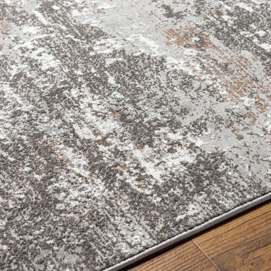 Surya Allegro Alg-2305 Rug 5'3" X 7'