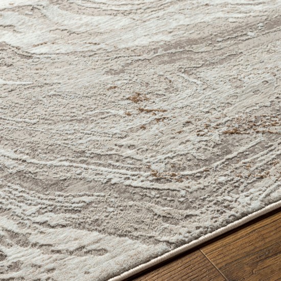 Surya Allegro Alg-2318 Rug 9'2" X 12'