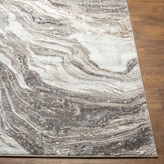 Surya Allegro Alg-2319 Rug 7'10" X 10'