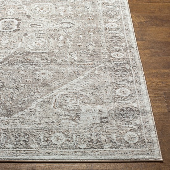 Surya Allegro Alg-2324 Rug 7'10" X 10'