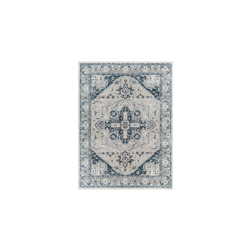 Surya Allegro Alg-2326 Rug 6'7" X 9' Surya Allegro Alg-2326 Rug 6'7" X 9'