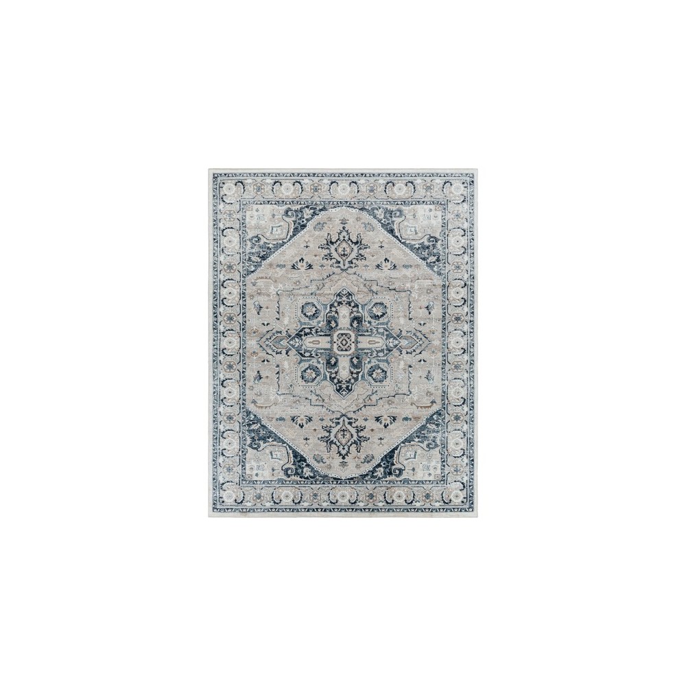 Surya Allegro Alg-2326 Rug 7'10" X 10'