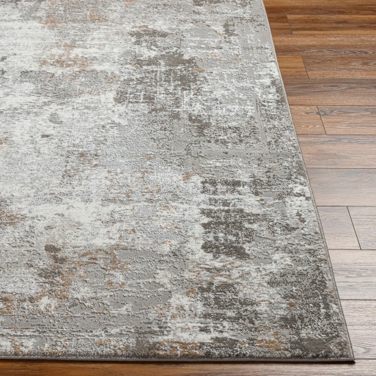 Surya Allegro Plus Agp-2301 Rug 6'7" X 9'