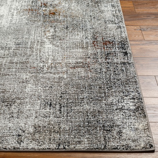 Surya Allegro Plus Agp-2305 Rug 4' X 6'