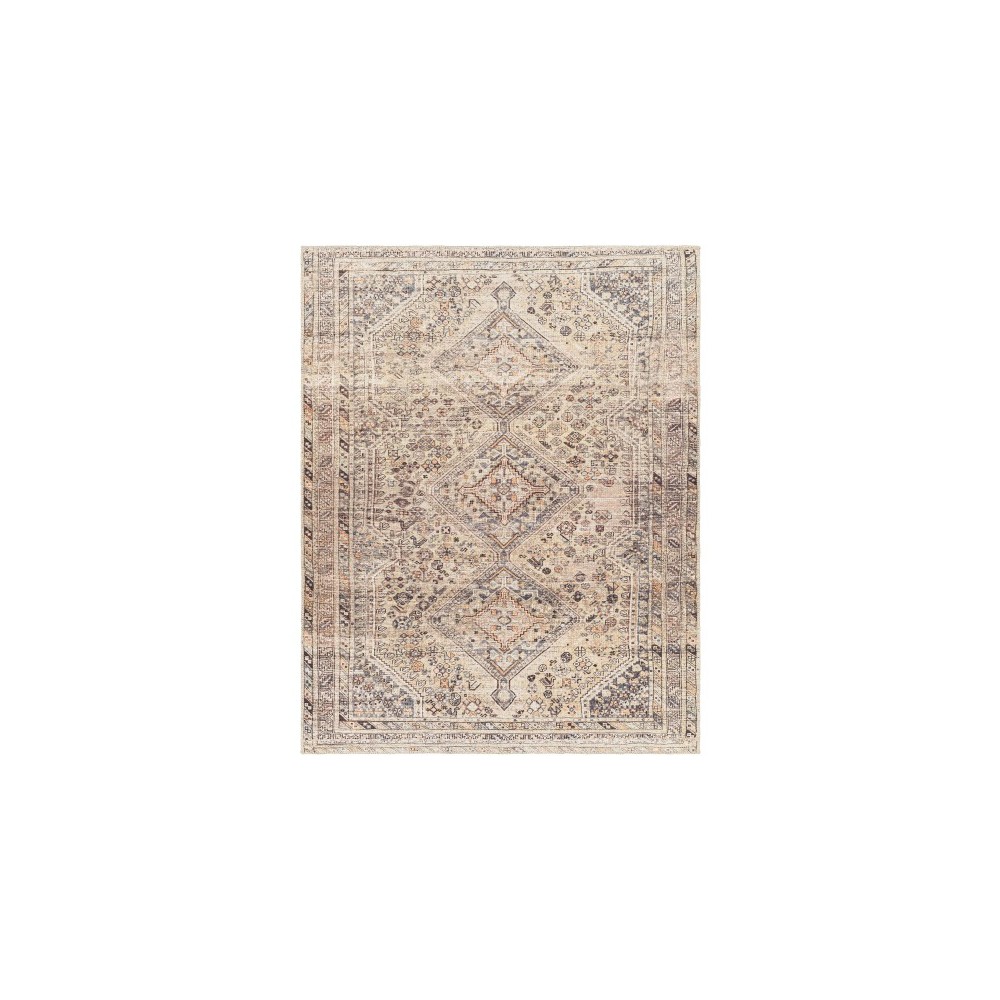 Surya Amelie Rug 2' X 2'11" - Ivory & Gray