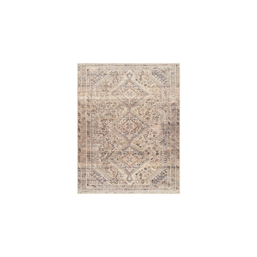 Surya Amelie Rug 6'7" X 9' - Ivory & Gray