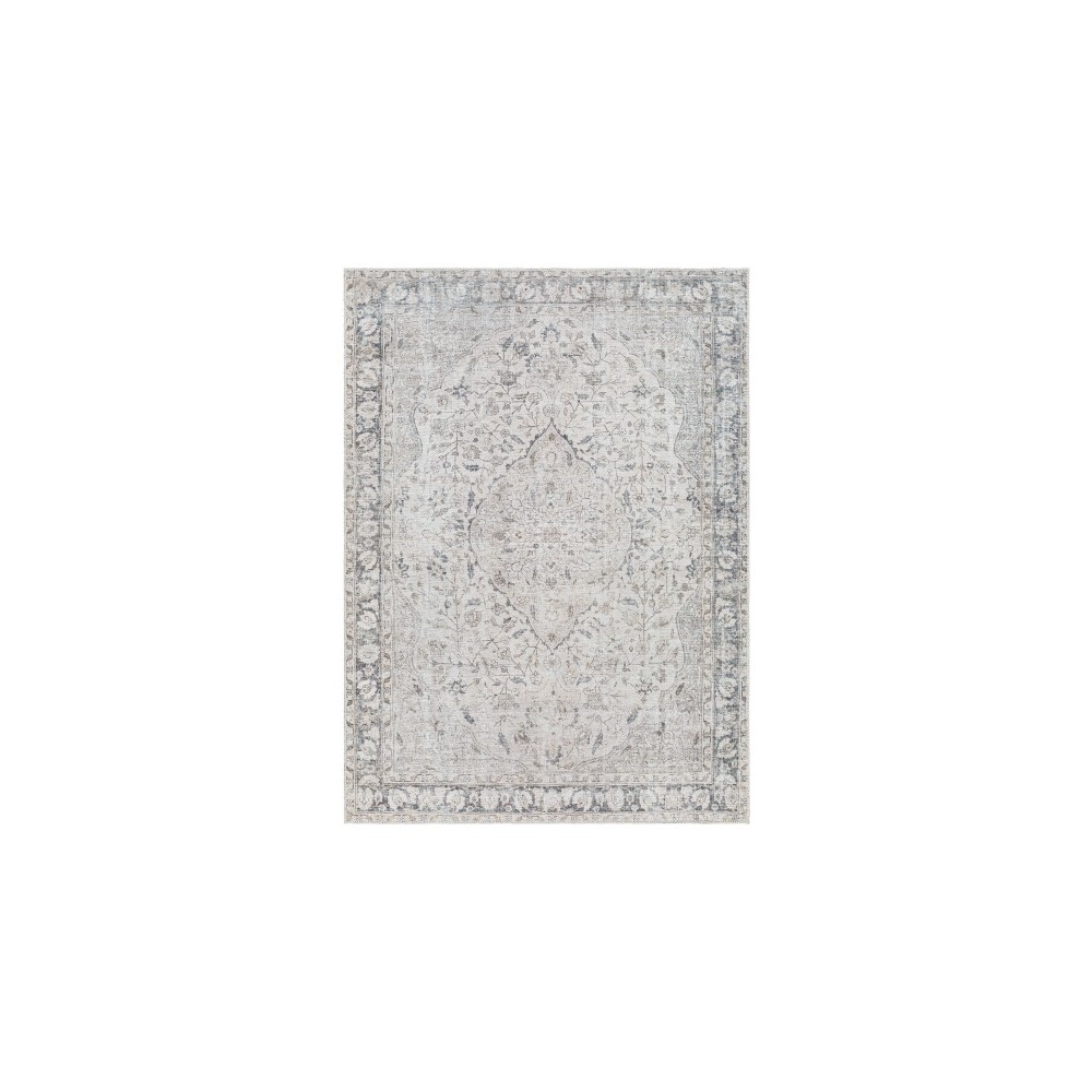 Surya Amelie Aml-2385 Rug 2' X 2'11" Surya Amelie Aml-2385 Rug 2' X 2'11"