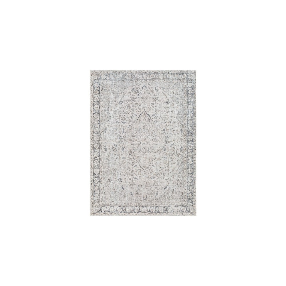 Surya Amelie Aml-2385 Rug 2'7" X 7'10"