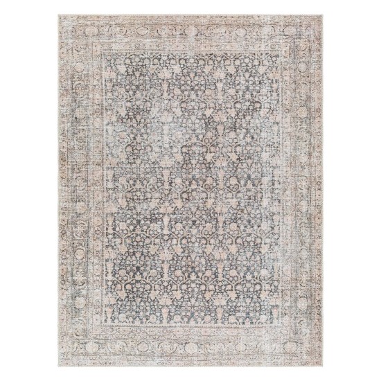 Surya Amelie Aml-2387 Rug 2' X 2'11"