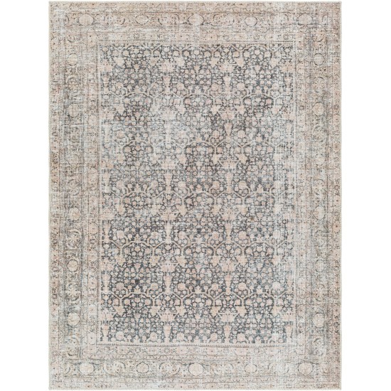 Surya Amelie Aml-2387 Rug 2'7" X 7'10"