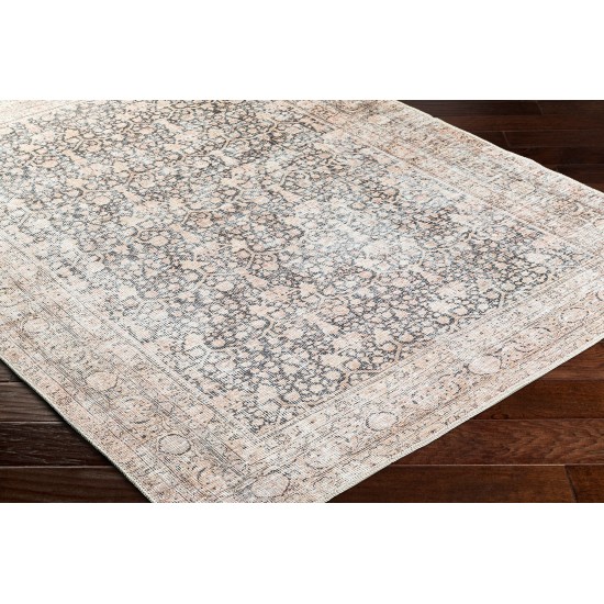 Surya Amelie Aml-2387 Rug 7'10" X 10'2"