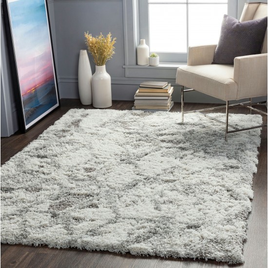 Surya Alta Shag Light Gray Rug 8'10" X 12'