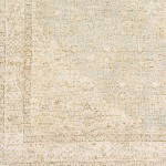 Surya Amasya Brown Rug 2' X 3'