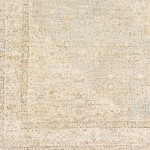 Surya Amasya Brown Rug 5' X 7'6"