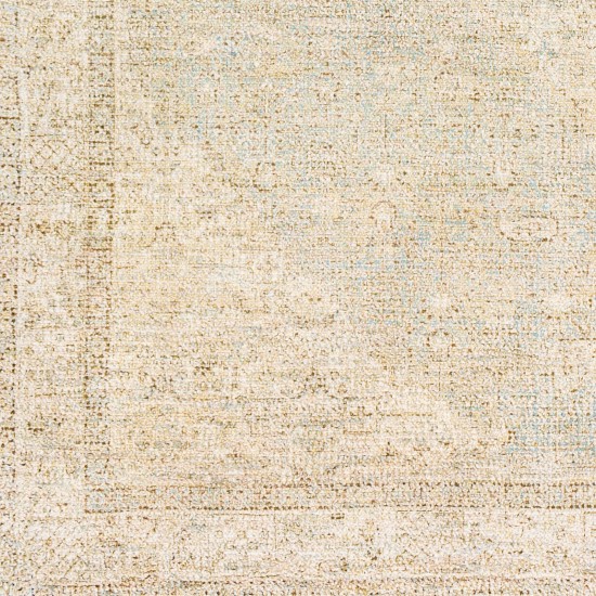 Surya Amasya Brown Rug 8'6" X 12'