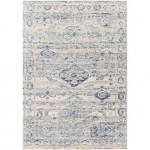 Surya Amore Navy & Denim Rug 2' X 3'