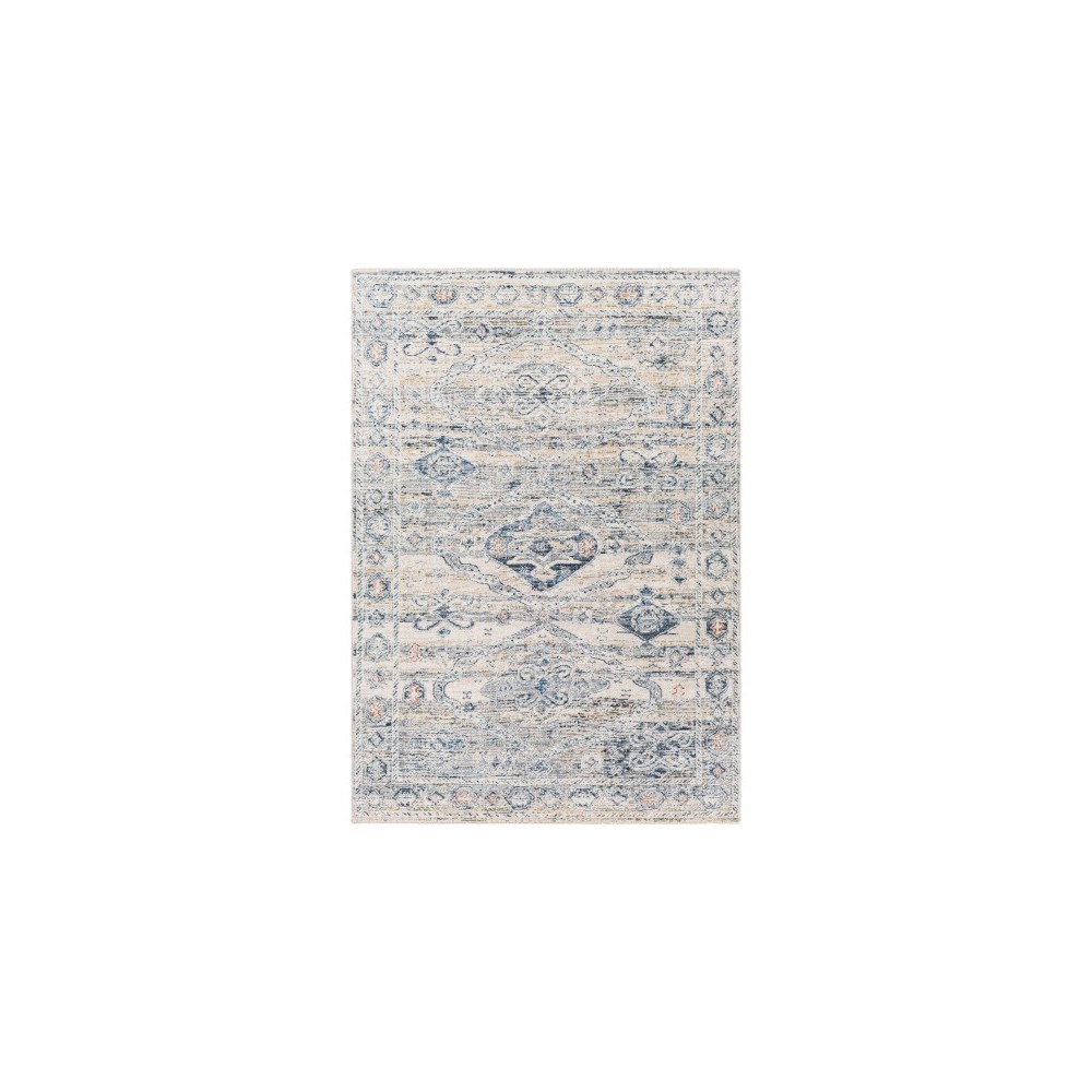 Surya Amore Navy & Denim Rug 2' X 3'