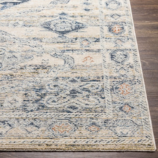 Surya Amore Navy & Denim Rug 2' X 3'