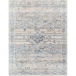 Surya Amore Navy & Denim Rug 7'10" X 10'