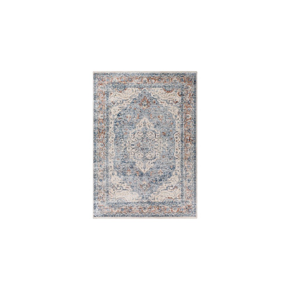 Surya Amore Navy Rug 2' X 3'