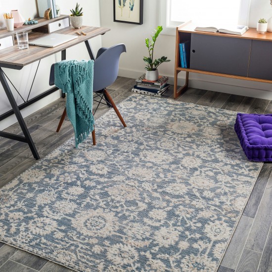 Surya Amore Rug 2' X 3' Denim