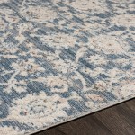 Surya Amore Rug 2' X 3' Denim