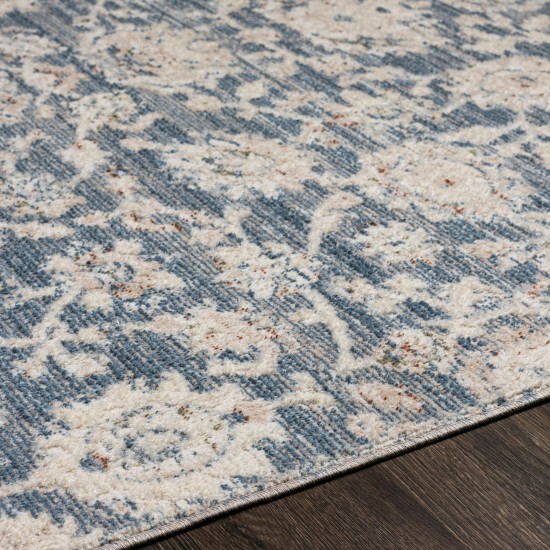 Surya Amore Rug 2' X 3' Denim