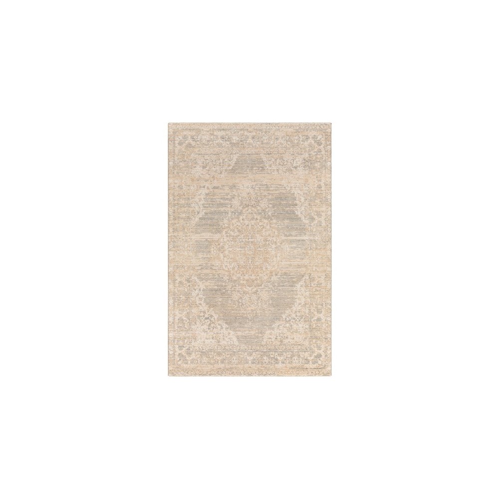 Surya Amore Gray Rug 2' X 3'