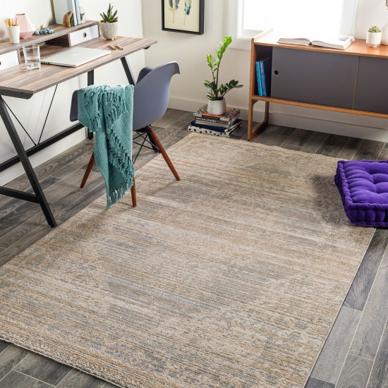 Surya Amore Gray Rug 2' X 3'