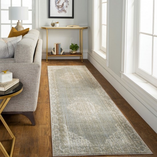 Surya Amore Gray Rug 2'6" X 10'