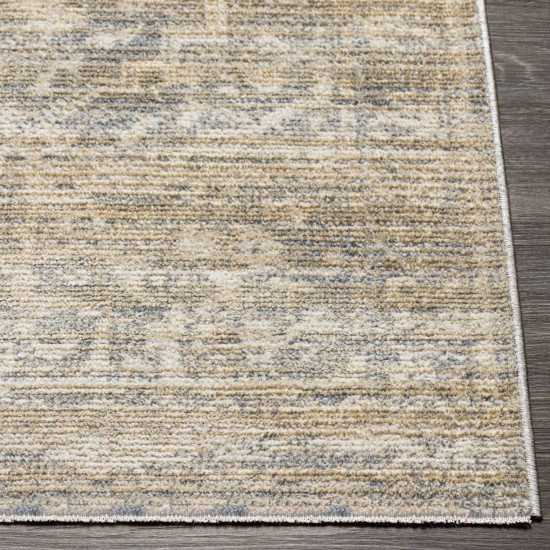 Surya Amore Beige Rug 2'6" X 10'