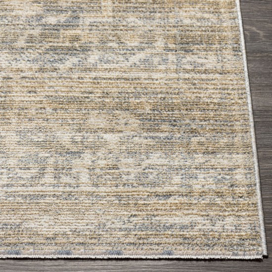Surya Amore Beige Rug 2'6" X 8'