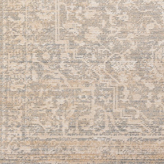 Surya Amore Beige Rug 2'6" X 8'