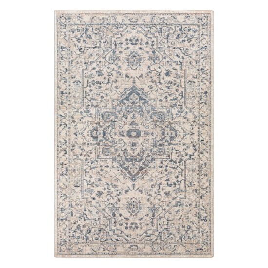 Surya Amore Rug 2' X 3' - Denim