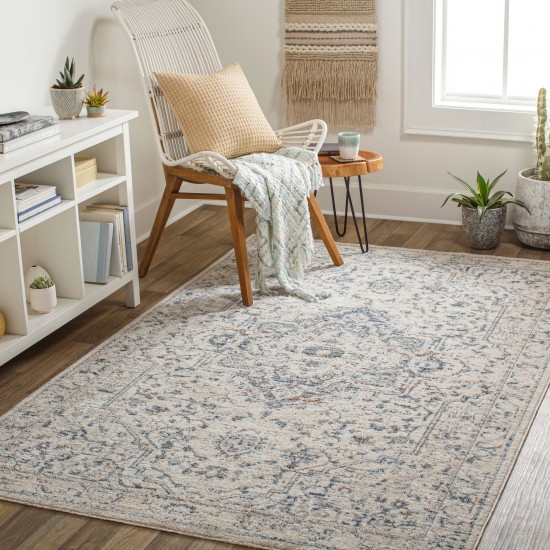 Surya Amore Rug 2' X 3' - Denim