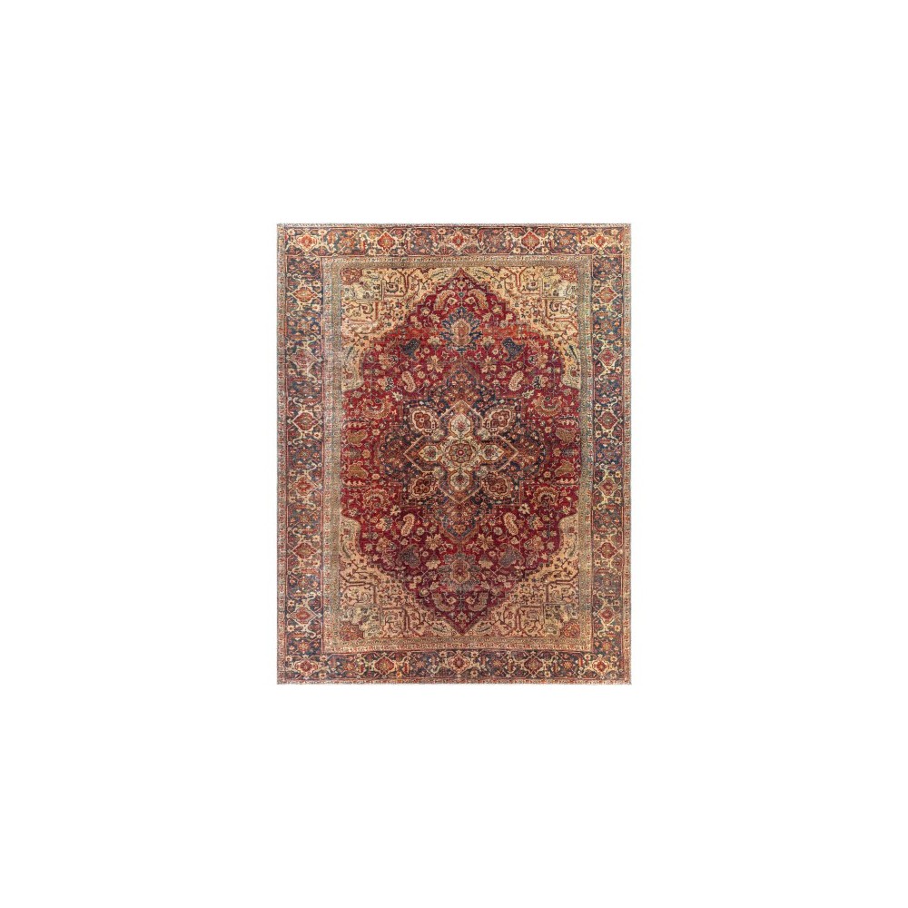 Surya Amelie Dark Red Rug 7'10" X 10'2"