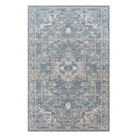 Surya Amore Rug 2' X 3' (Denim)