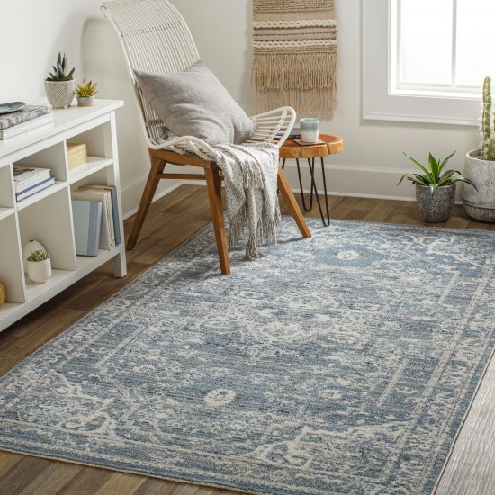 Surya Amore Rug 2' X 3' (Denim)