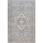 Surya Amore Denim Rug 2' X 3'