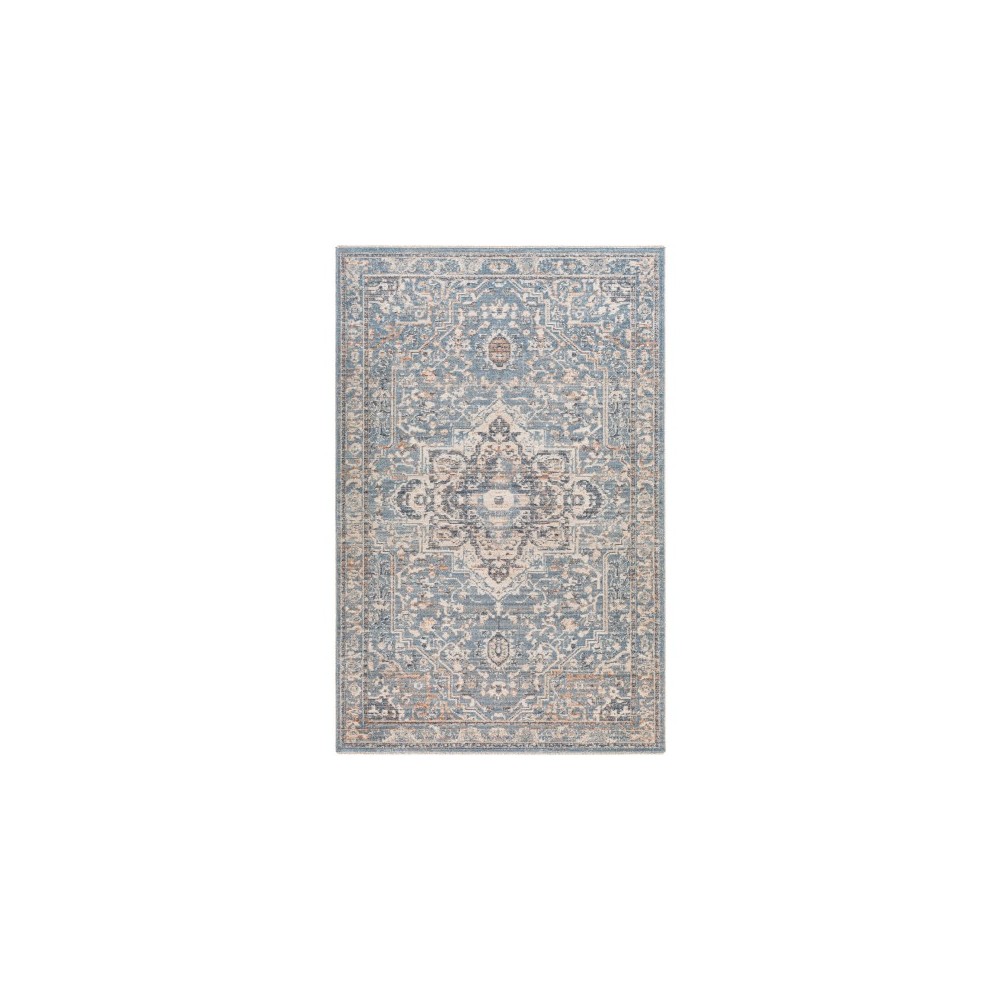 Surya Amore Denim Rug 2' X 3'