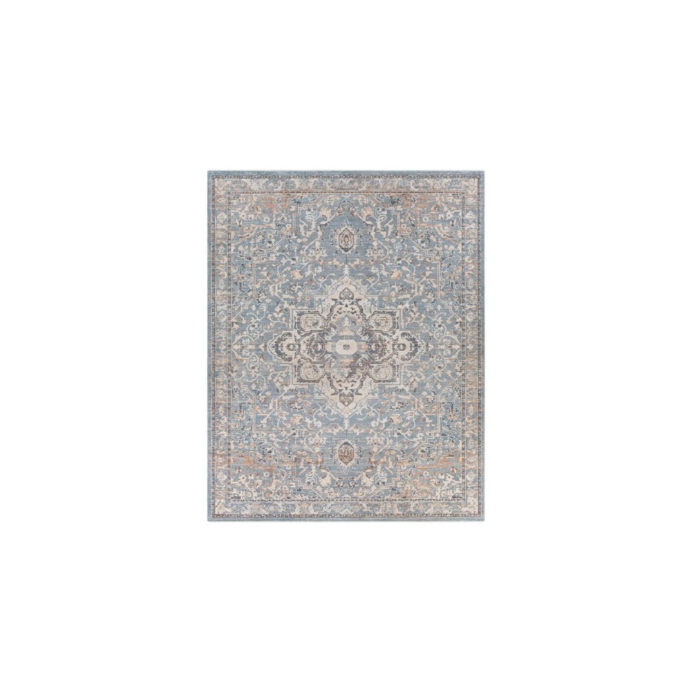 Surya Amore Denim Rug 7'10" X 10'