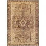 Surya Amelie Brown Rug 2' X 2'11"