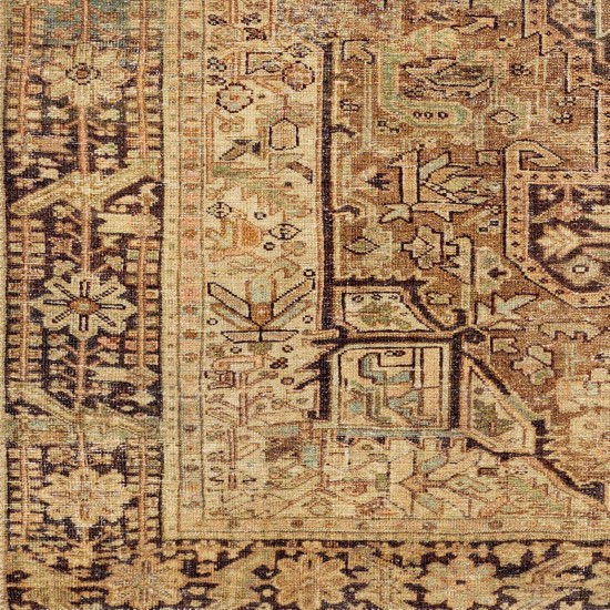 Surya Amelie Brown Rug 2' X 2'11"