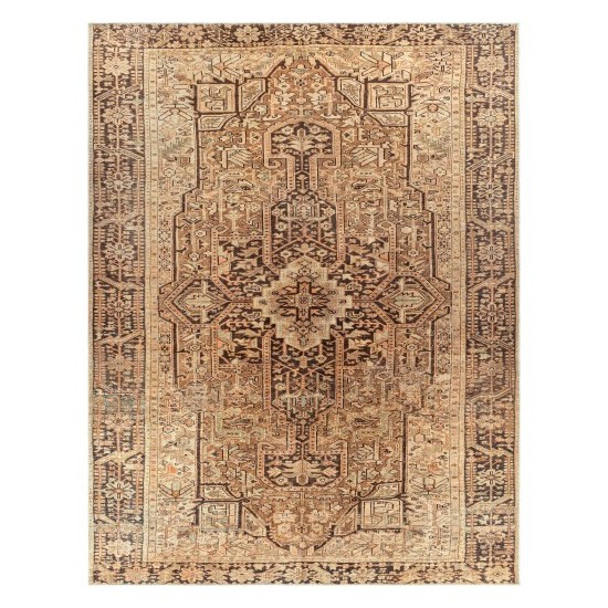 Surya Amelie Brown Rug 7'10" X 10'2"