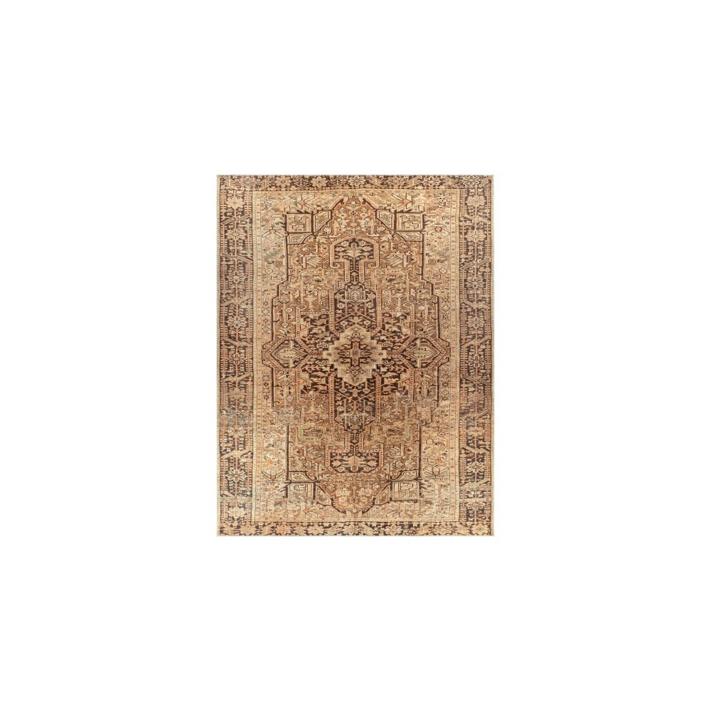 Surya Amelie Brown Rug 7'10" X 10'2"