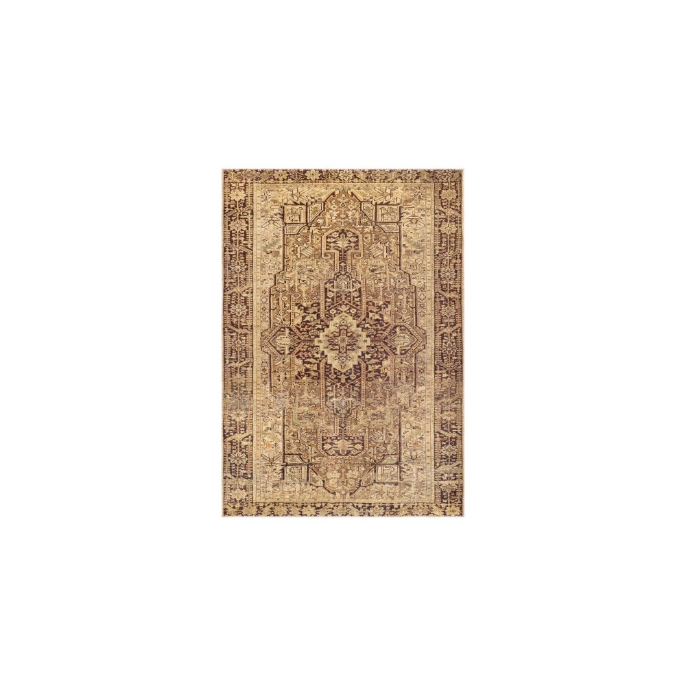 Surya Amelie Brown Rug 8'10" X 12'