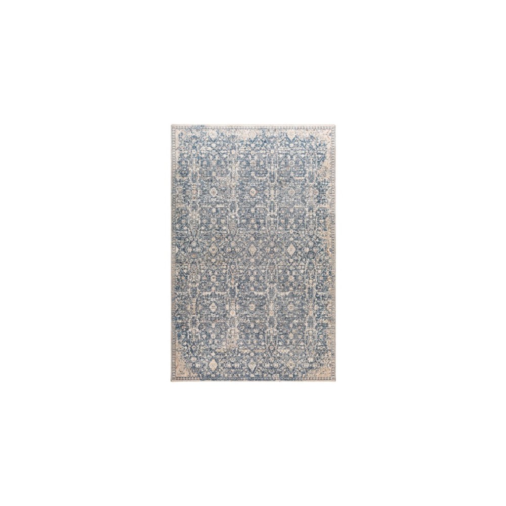 Surya Amore Charcoal Rug 2' X 3'